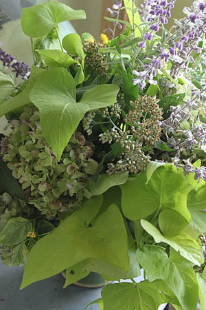 fallflowers