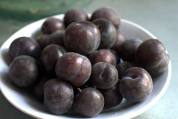plums.jpg