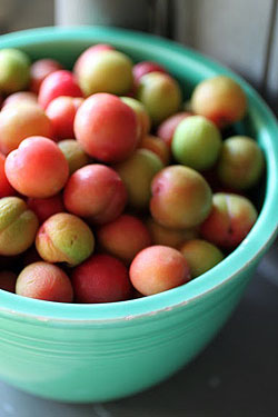 plums2.jpg