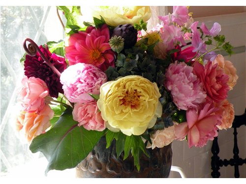 Flower16
