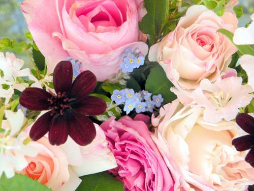 Flower21