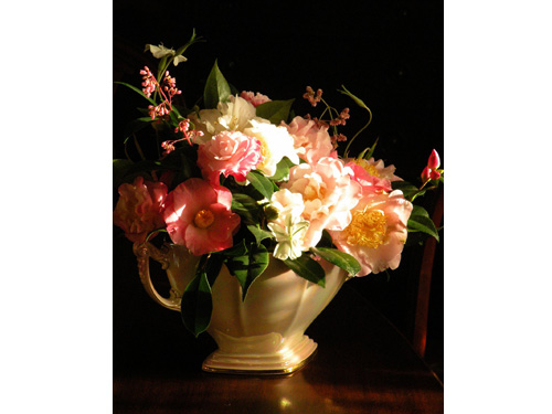 Flower3