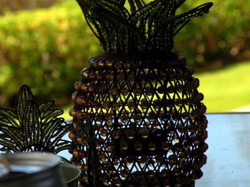 Hawaii d