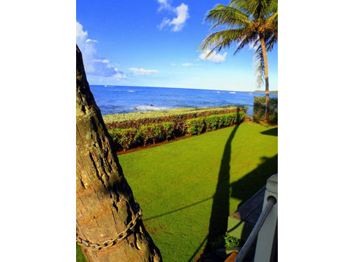 Hawaii e