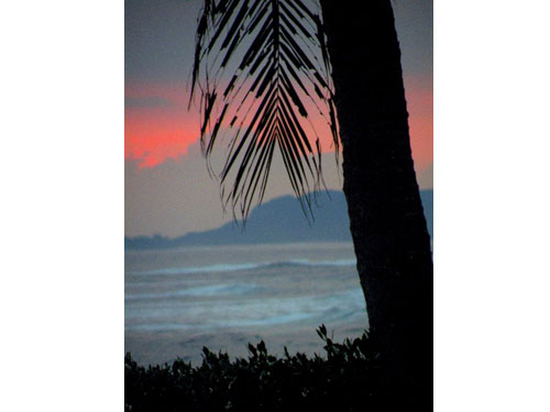 Hawaii n