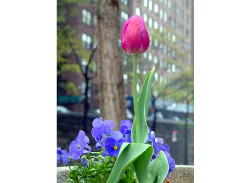 Ny05