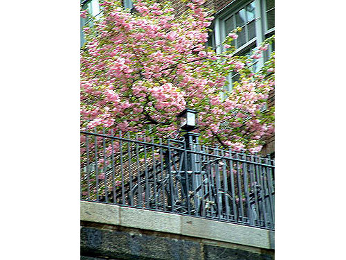 ny07.jpg