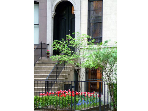 Ny12