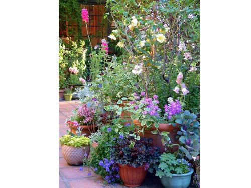 summerflowers07.jpg