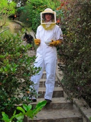 beesuit.jpg