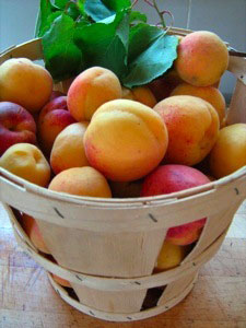 peaches.jpg