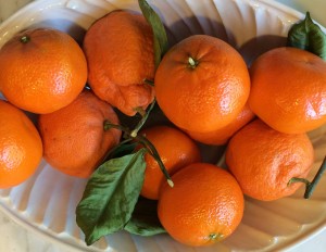 ClementinesInBowl