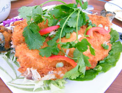 jothai2.jpg