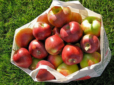 bagofapples