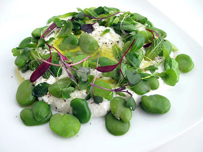 favabeans