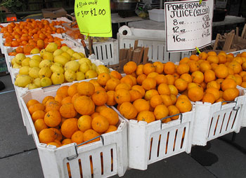 ferrycitrus
