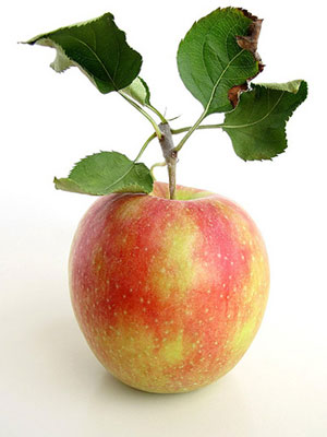 odeapple