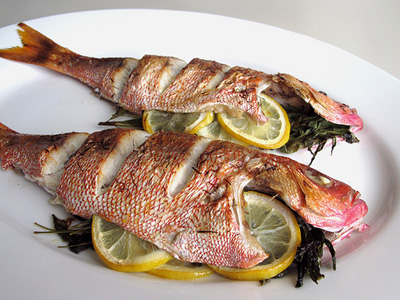 redsnapper