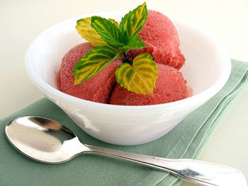rhubarbsorbet.jpg