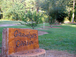 garden.jpg