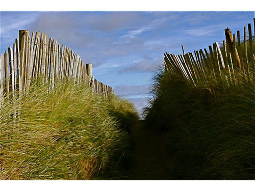 Ireland011