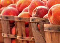 peachbaskets.jpg