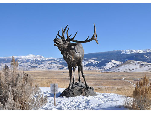 Wyoming06