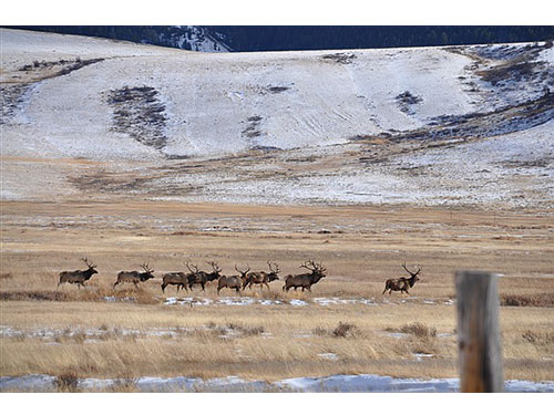 Wyoming07
