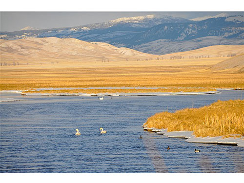 Wyoming09