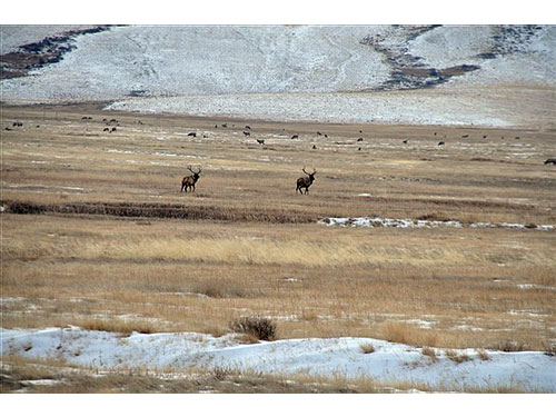 Wyoming10