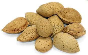 almondsinshells.jpg