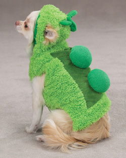 sweet-pea-costume.jpg