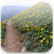 trailguru.jpg