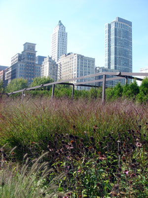 Chicago07