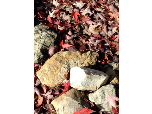 Colorsfall05