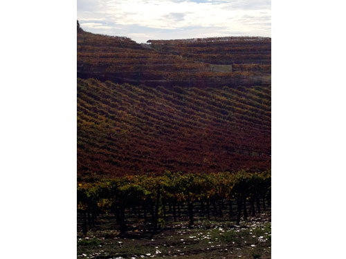 Colorsfall07