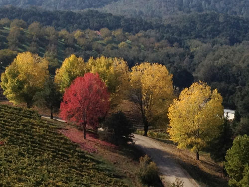 Colorsfall09