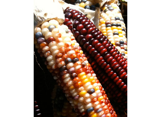 Fallcolor05