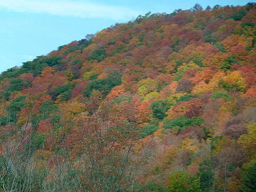 Fallcolor09