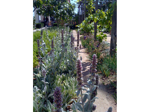 Gettyvilla12