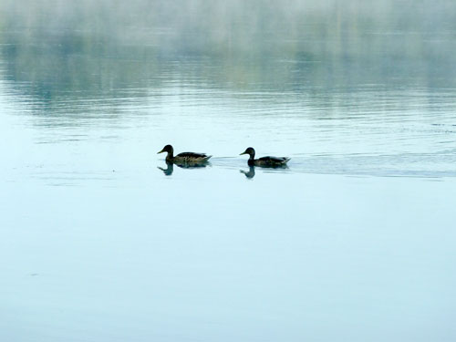 Aroundlake14
