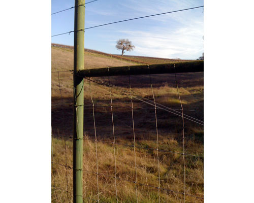 Vineyardwalk03