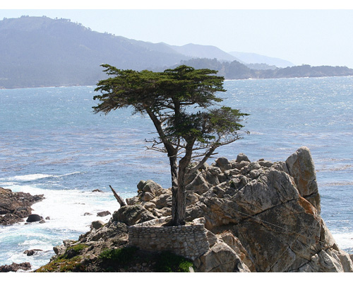 monterey-1.jpg