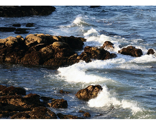 Monterey 4