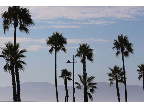 Venice04