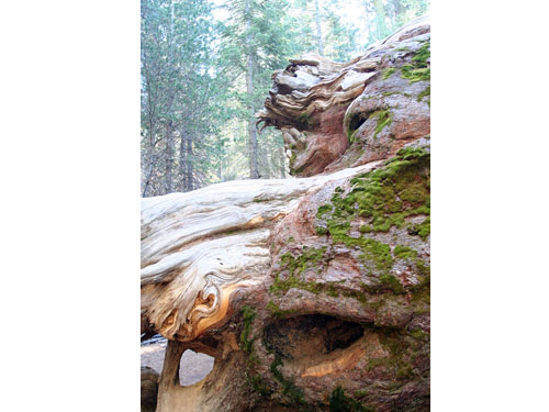 Yosemite03