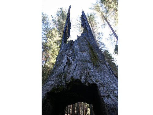 Yosemite06