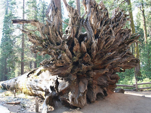 Yosemite11