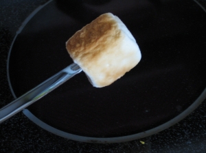 marshmellow.jpg
