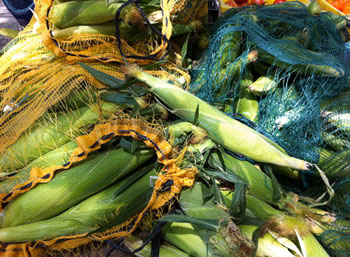 freshcorn.jpg